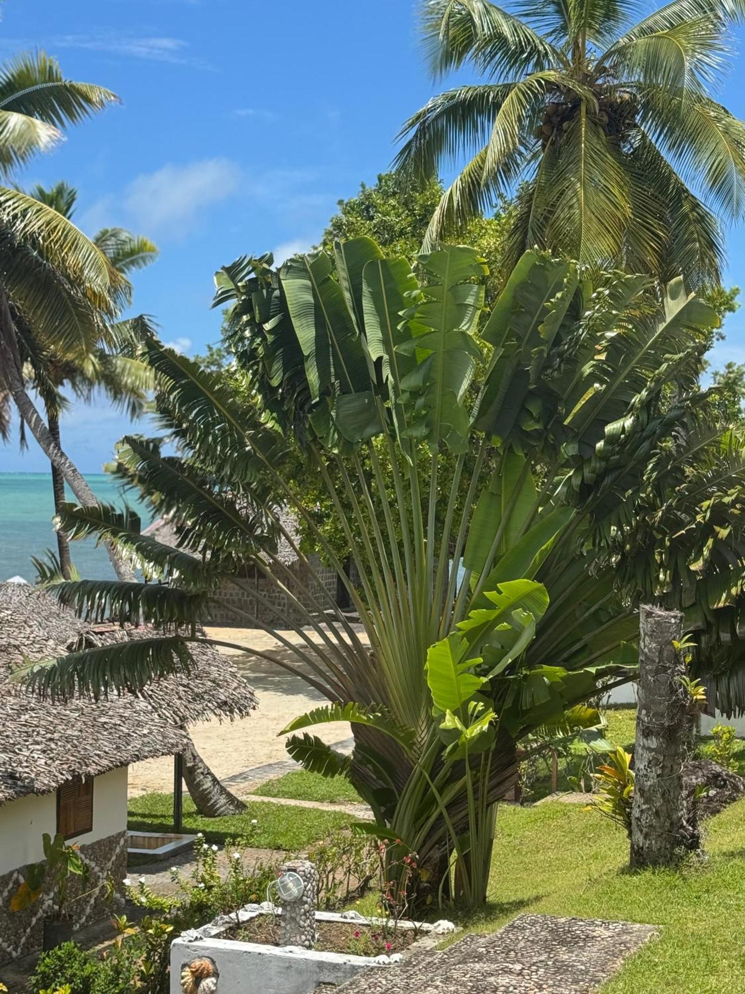 Mora Mora Resort Ankoalamare Dış mekan fotoğraf